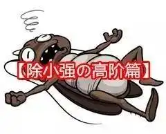 蚂蚁怕酸蟑螂怕香这些驱虫小技巧通通都要知道
