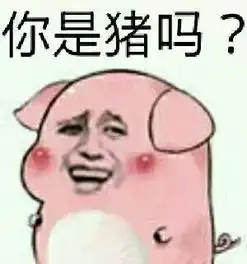 因为一只乌龟,广东人又上了热搜