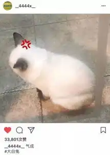 易烊千玺深夜提问要不要逃走四字弟弟的ins原来这么有趣