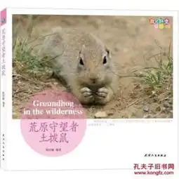 我的野生动物邻居荒原守望者土拨鼠groundhoginth