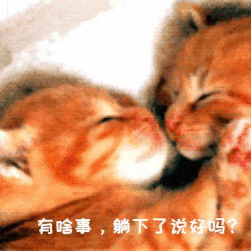 今日份表情包