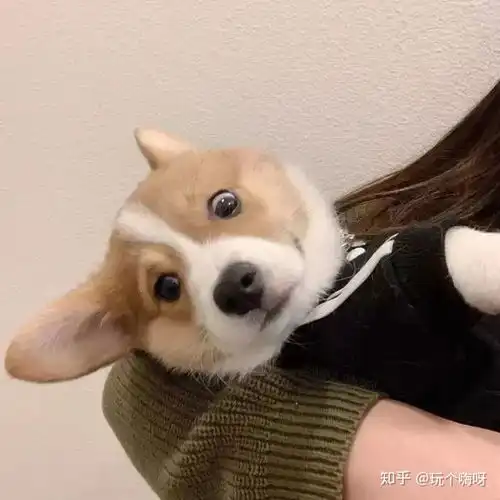拍照面部表情僵硬怎么办