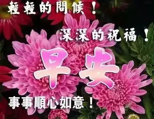 与其多心,不如少根筋与其红了眼眶,不如笑着原谅,早安