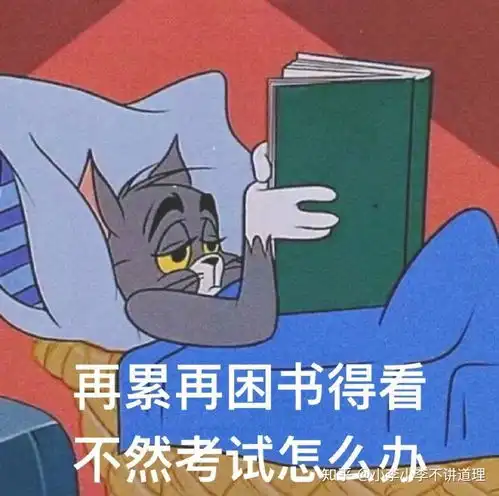 凯程333教育综合和lucky学姐笔记哪个更好背