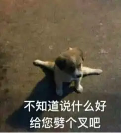 黑色网纱裙好看还是白色