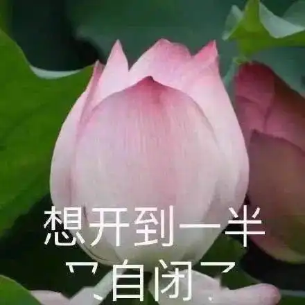 他也亲自下场开撕了