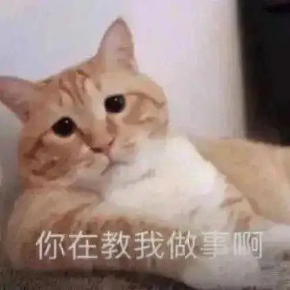 搞笑聊天表情包i你在教我做事啊