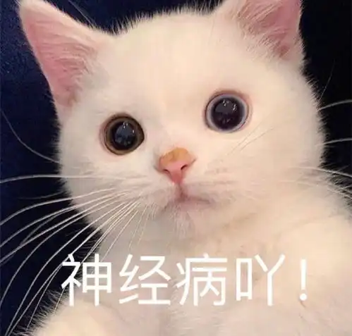 萌宠表情包我太难了