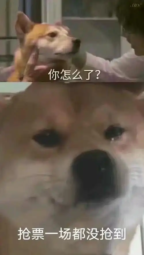 如何不花钱看一场59万元的演唱会来一台康佳电视吧