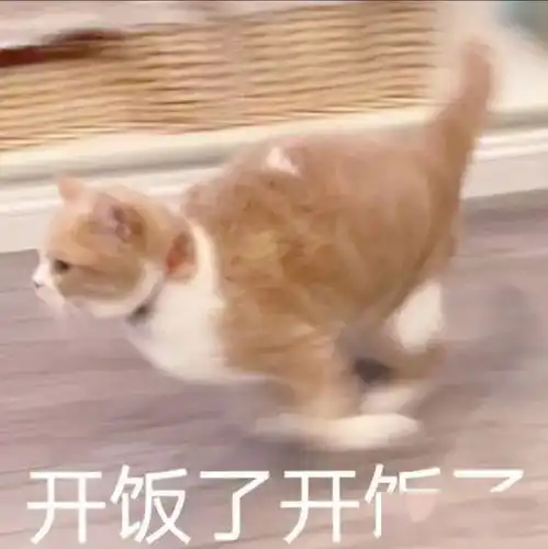 校十大歌手第二轮线上投票环节