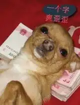 dfj769394视频相册dfj769394相册mv照片相册