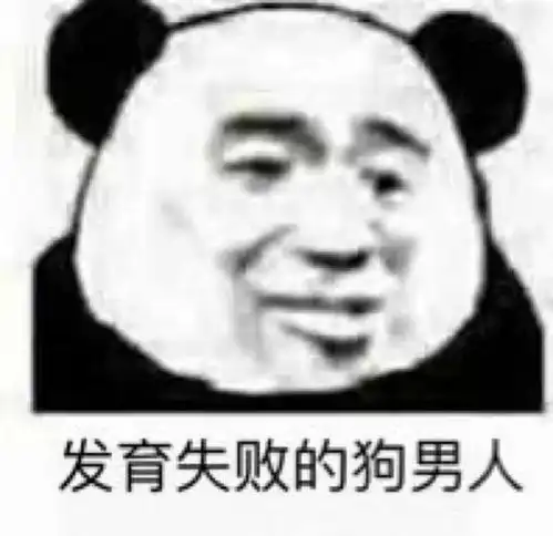 这么快又新年了熊猫头表情包