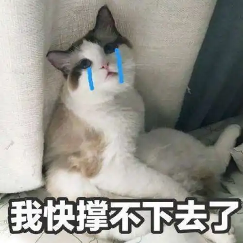 热议丨澳洲移民进入满分时代留学生还能留下来吗