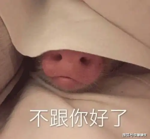 最新表情包图片我是一只莫得感情的猫,我超开心