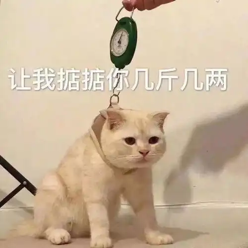 表情包敲搞笑沙雕斗图表情包