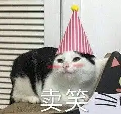 别人家的喵系列表情包