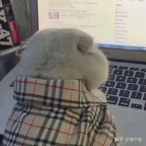 airpods一只连接不上