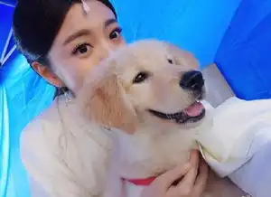 安以轩抱狗自拍表情神同步鹿晗胡歌baby视猫如命