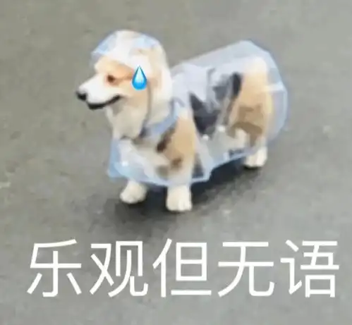 表情包19丨你当我小青蛙不会发怒
