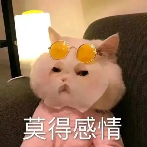 雀人兄弟带着寨子学战术,小坤保护小媳妇