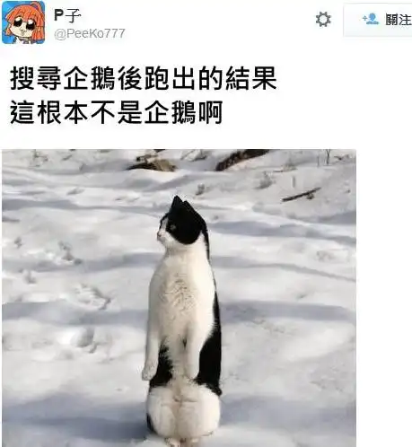 搞笑图片当你的交谈中出现了其他女性时,你女朋友的表情
