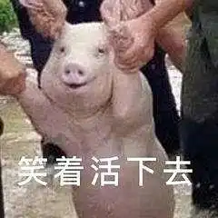 经济寒冬下,你拿什么养活自己