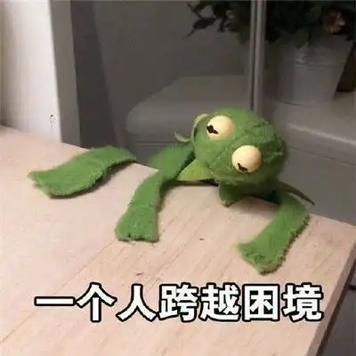 干什么都是一个人的孤单青蛙表情包我这辈子可能要一个人孤独终老
