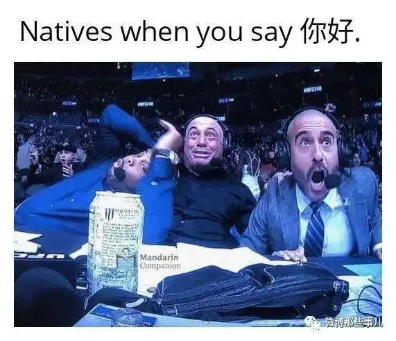 老外被学中文折磨疯了,表情包疯狂吐槽,教授都疯了好几个了