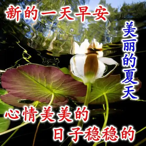 最新有创意的早上好问候祝福语图片早安快乐祝福问候语句子表情图片