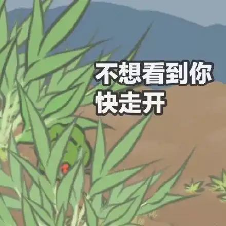 旅行青蛙表情包,拿走不谢