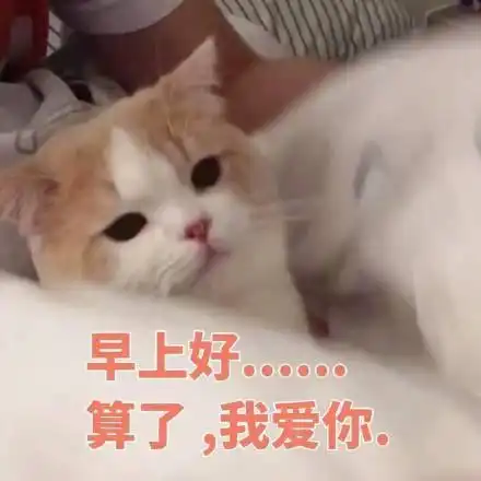 搞笑段子我连男朋友都没有,哪来的老公