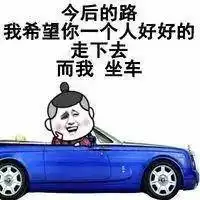 上海一只狗疑被公园保安打死爱狗者排队献花祭奠丨上海城事