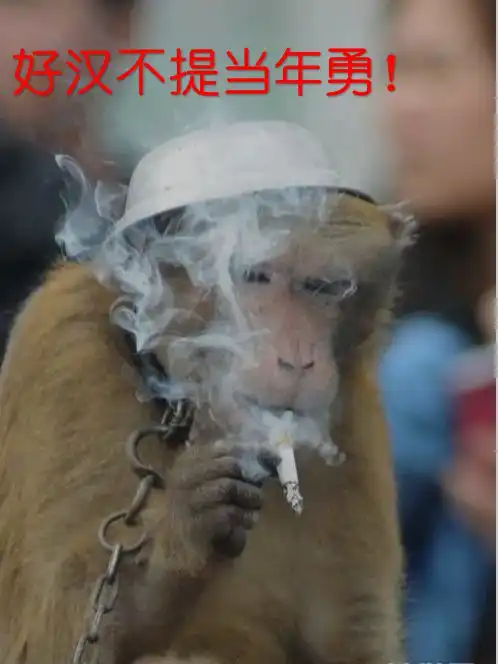 测试一个超长简介的文章