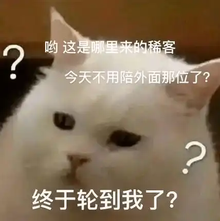 猫咪表情包你居然只打游戏,不理我