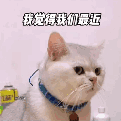 ins表情包推荐