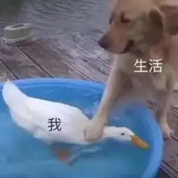 我姐让我加你有事请教,微信诈骗套路了解一下