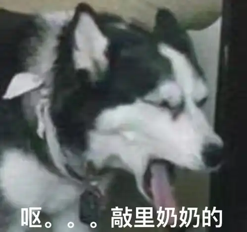 表情包19丨你当我小青蛙不会发怒