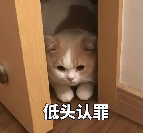 搞笑不要说我胖,谁不是拼命努力生活,每一顿都吃的热冷盈眶