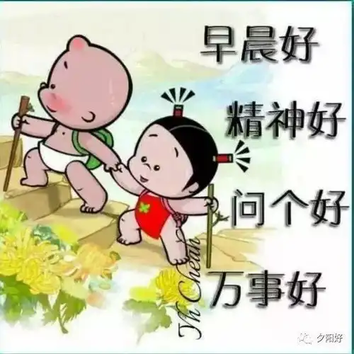 早上好的表情问候早上好图片