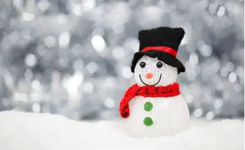 2019年第一场雪