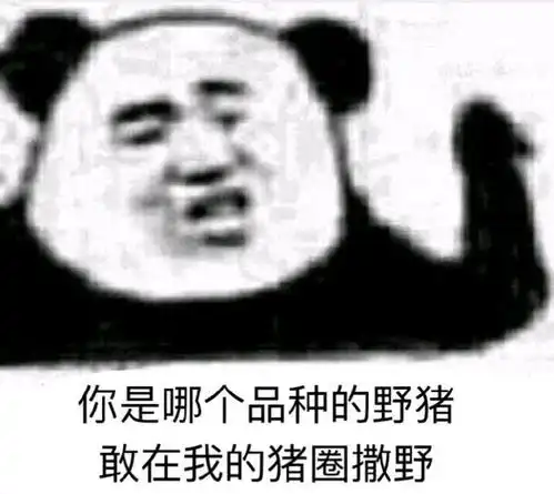 表情搞笑超逗的表情包,谢谢你小猪,谢谢你表情
