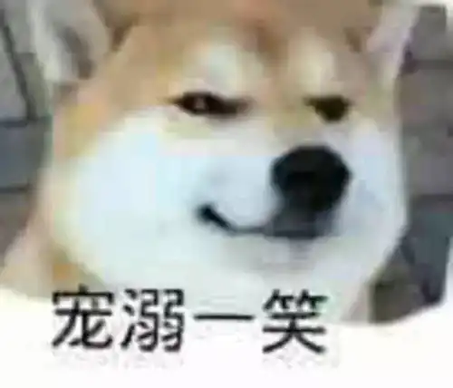 在表情包这场战争中,戏精柴犬完胜二哈