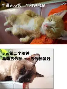 测试一个超长简介的文章