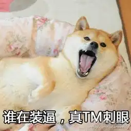 doge柴犬kabosu表情包