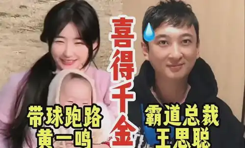 没想到,第一个站出来力挺王思聪的人,竟然是黄一鸣