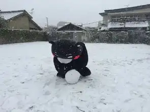 下雪的表情包