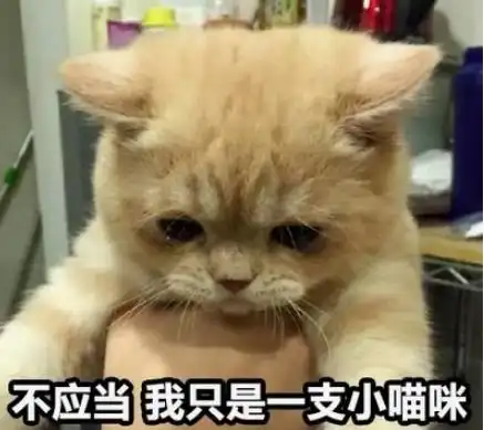 幽默笑话上午阻止儿子玩手机,结果小家伙生气了