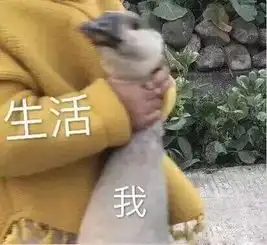 2019年云南16州市平均工资和房价大曝光看到迪庆,我哭了...