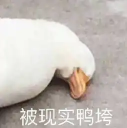 20张搞笑表情包,填充你的斗图库