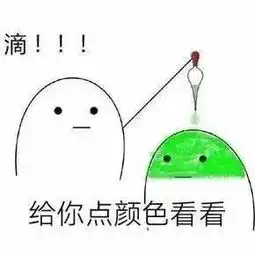 王者荣耀现版本t1英雄总览,有你擅长的英雄吗